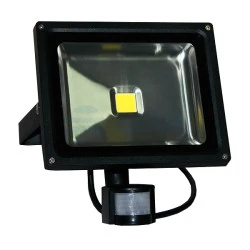 Прожектор светодиодный с датчиком движения SL-220VAC-30W-MS исп.5  (Бастион)