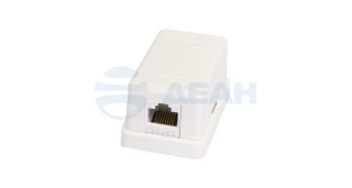Розетка компьютерная (EC-UWO-1-UD2-WT-10)  (NETLAN)